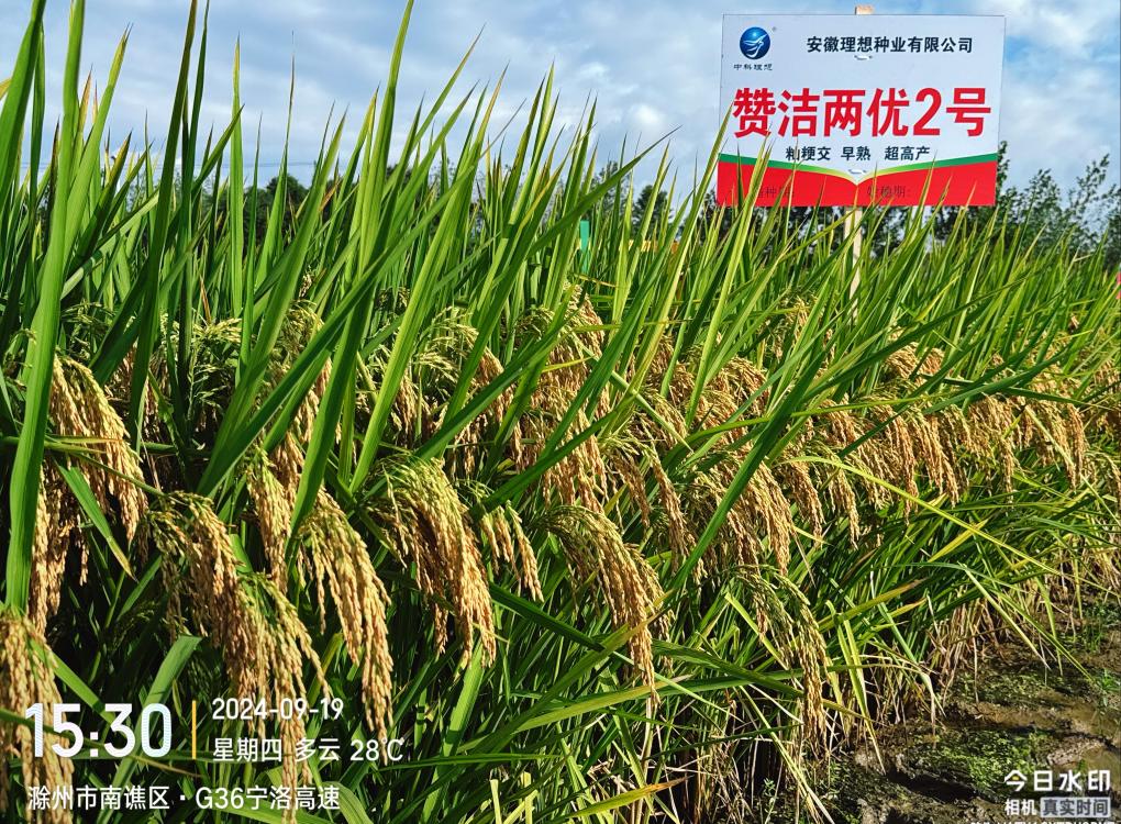 贊2， 4.58M(1).jpg